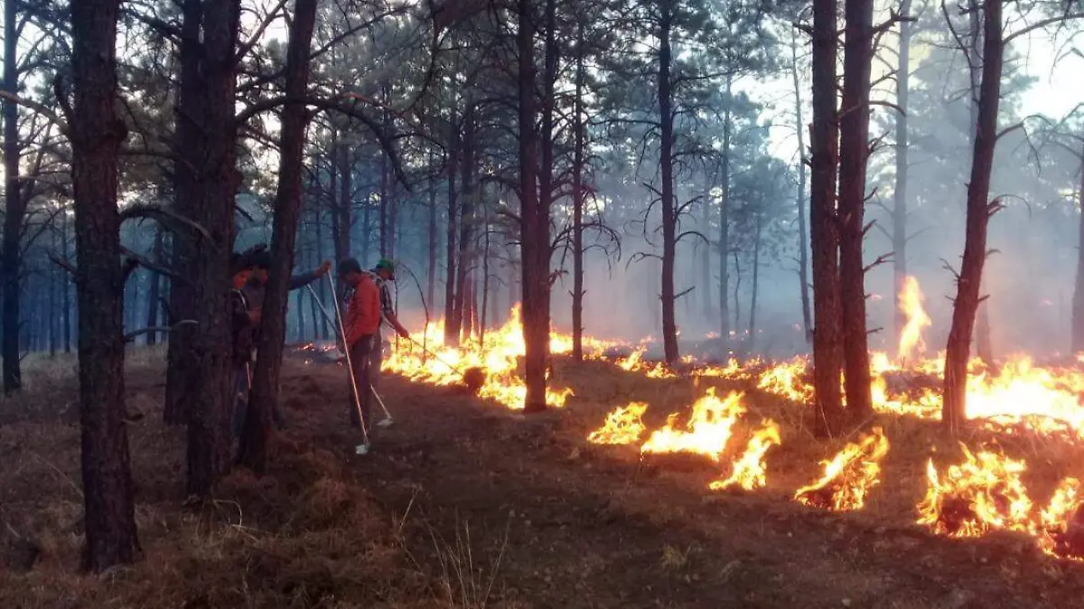 Incendio entre guerrero y bocoyna